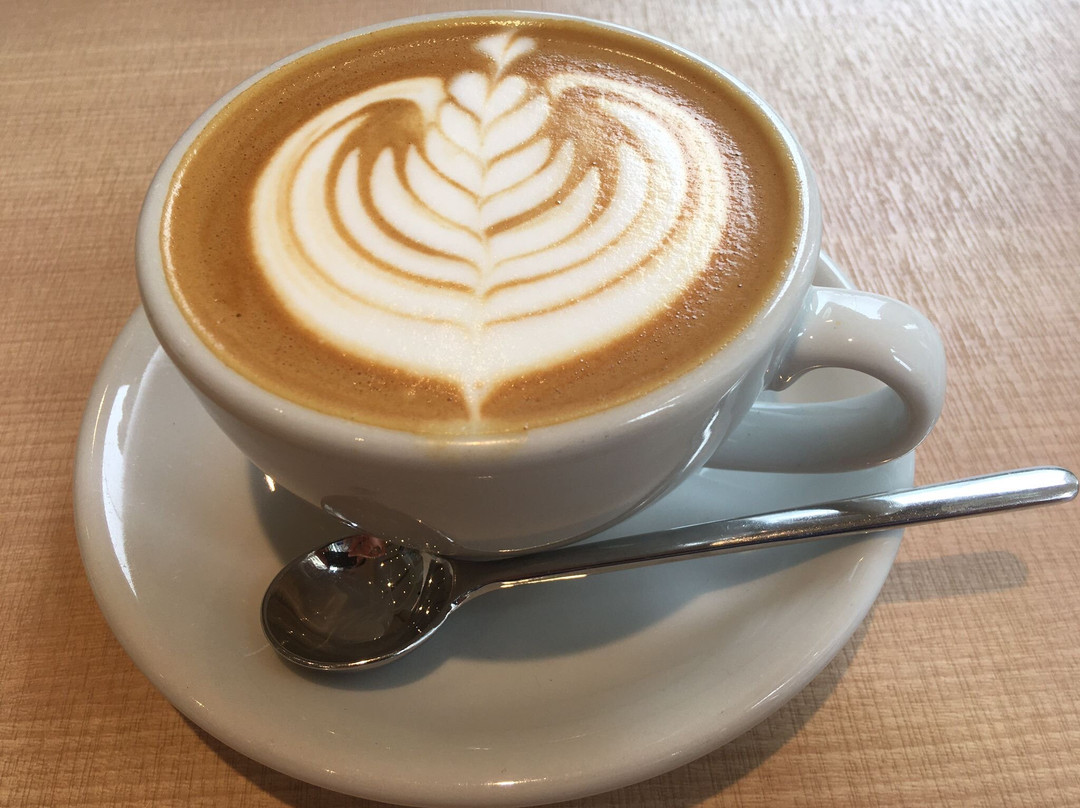 Noc Coffee