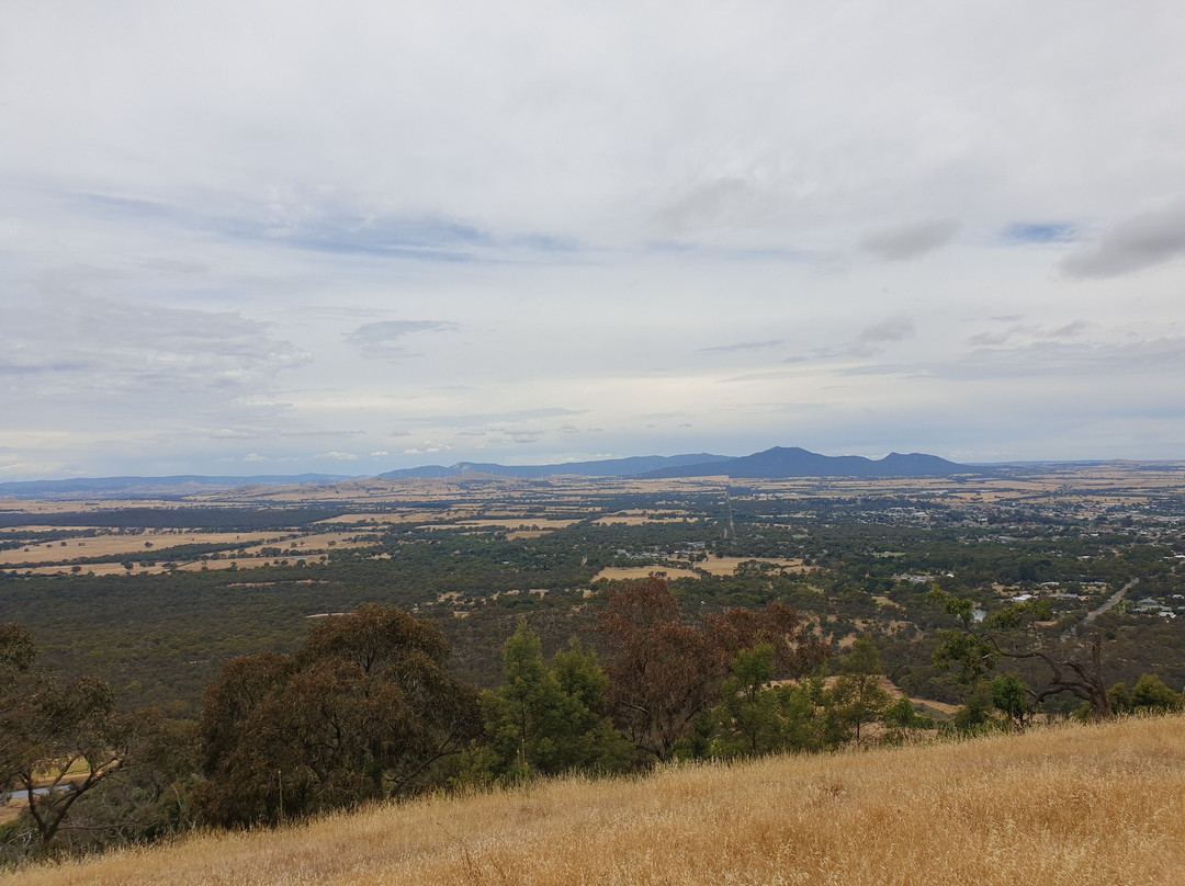 One Tree Hill Lookout-亚拉拉特山必去景点