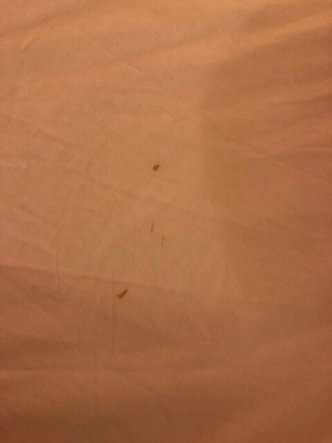 Ramada by Wyndham Columbus North主图