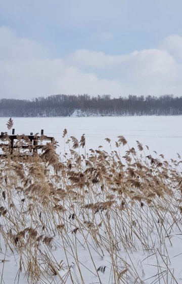 Recreation Base Bosikom-浴室