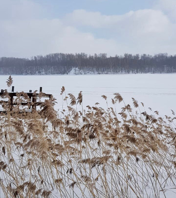 Recreation Base Bosikom主图