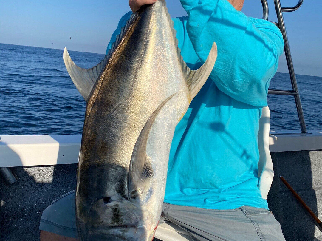 Puerto Vallarta Fishing-瓦拉塔港必去景点