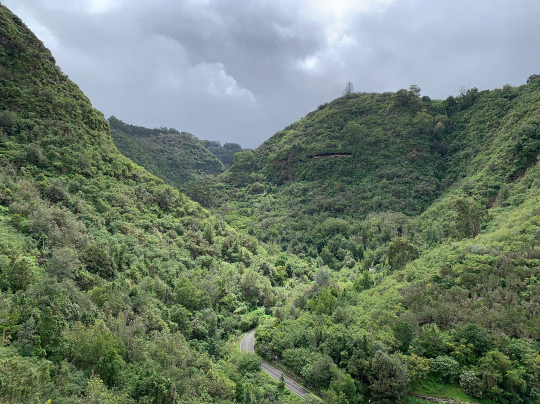 Los Tilos de Moya景点图片