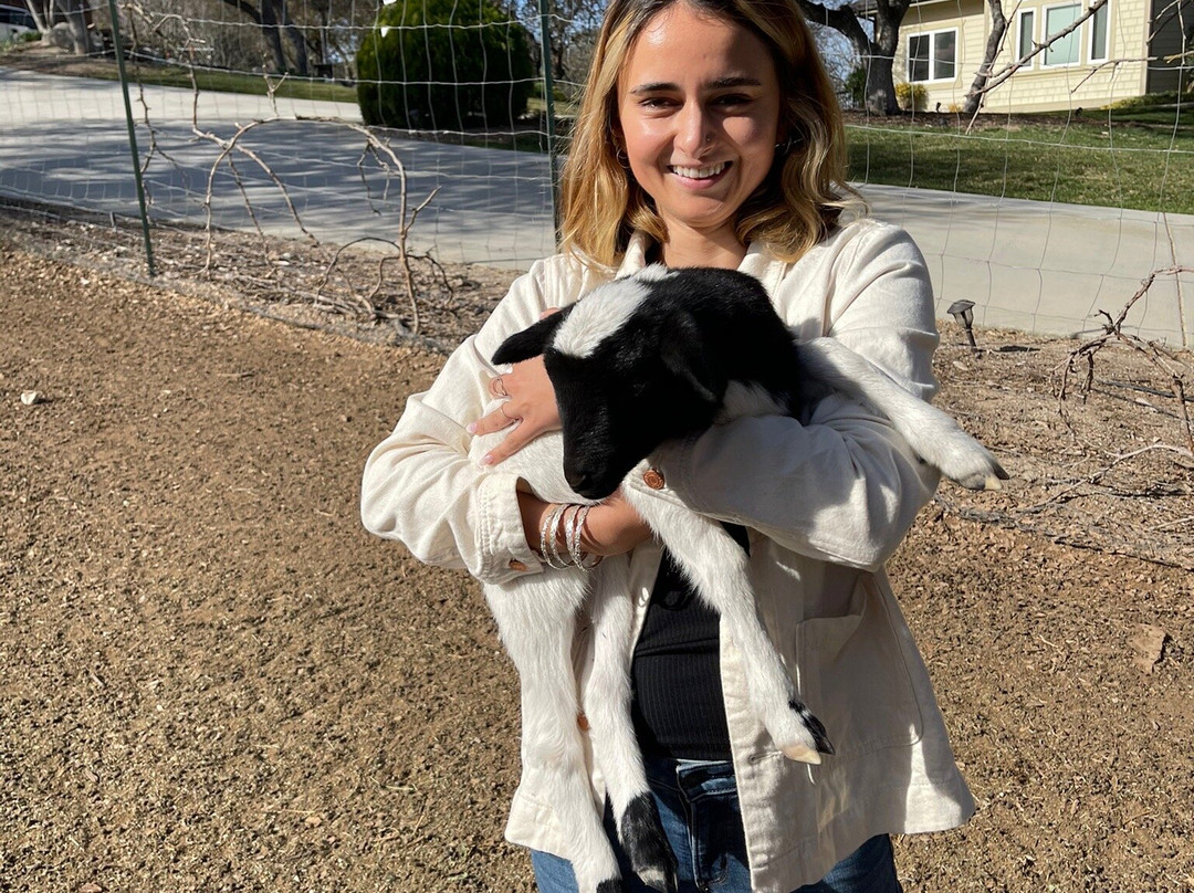 High Ridge Manor主图