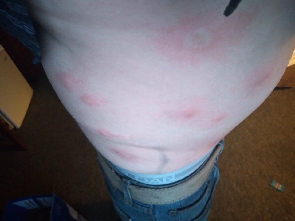 海伦娜豪生酒店