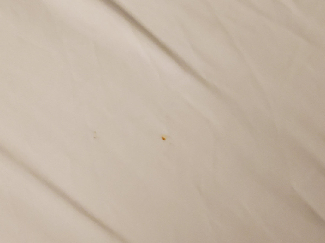 Tru by Hilton Greenville主图