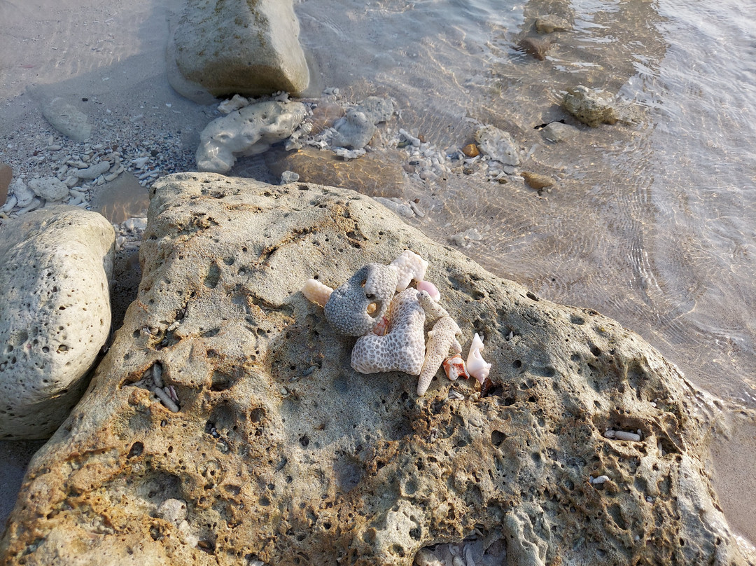 Lalaji Bay Beach-Long Island必去景点