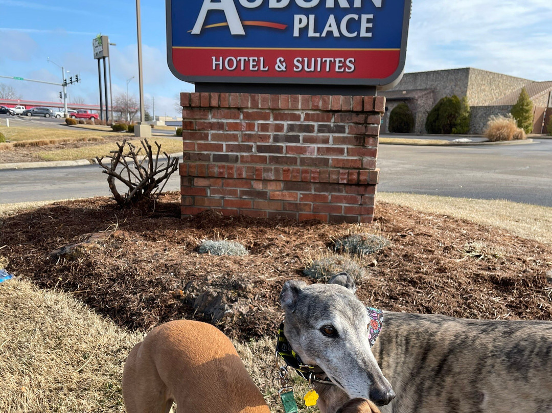 Auburn Place Hotel & Suites主图