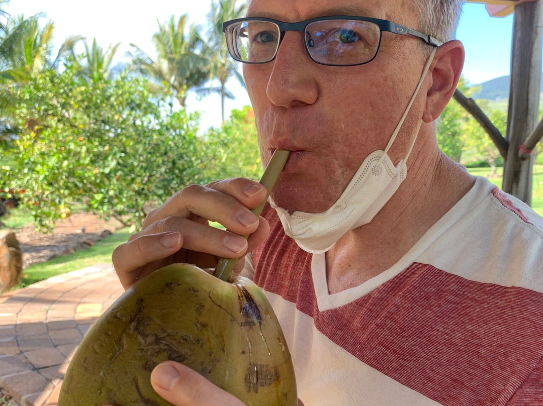 Maui Coconut Tour at Punakea Palms-拉海纳必去景点