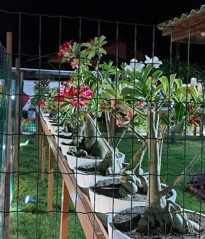 Brisamar Hotel Pousada主图