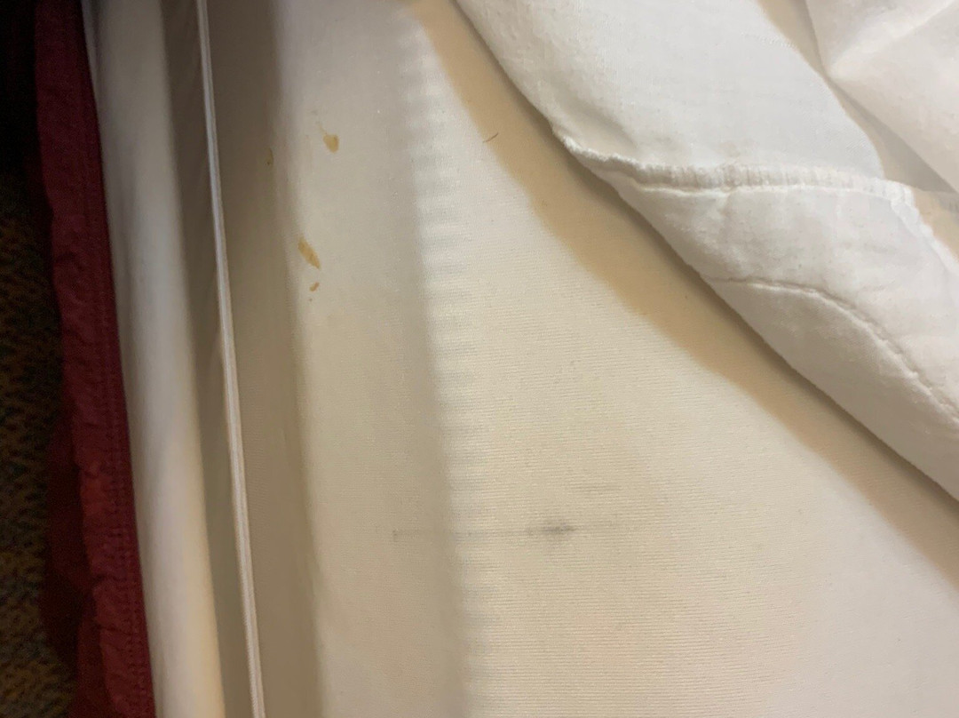 Hotel M, Mount Pocono主图