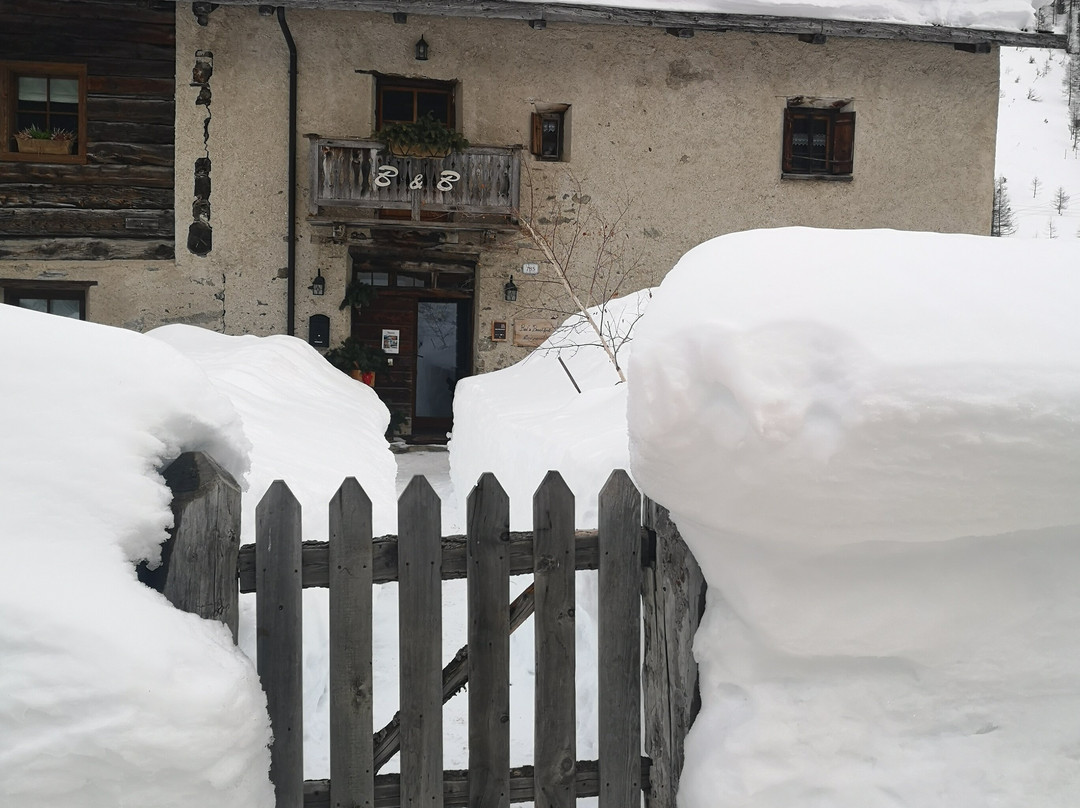 Bed & Breakfast Campaciol主图