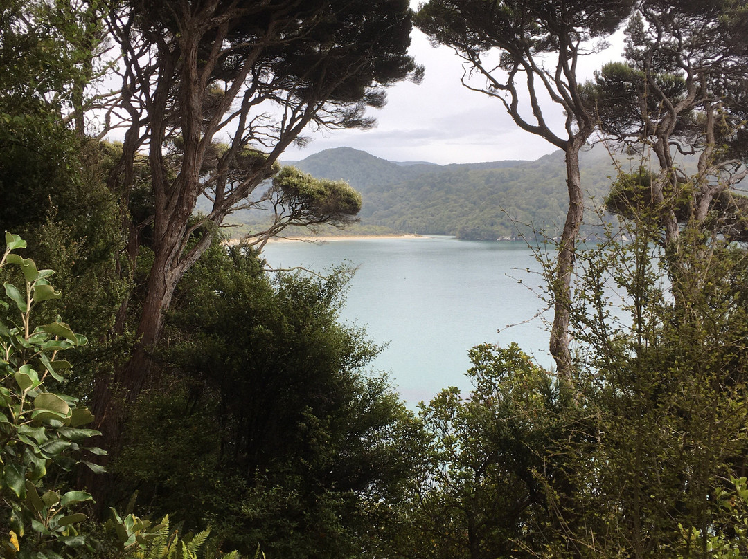 Rakiura Track景点图片