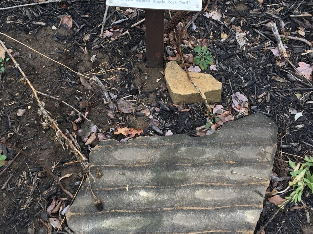 Blendon Woods Park-韦斯特维尔必去景点