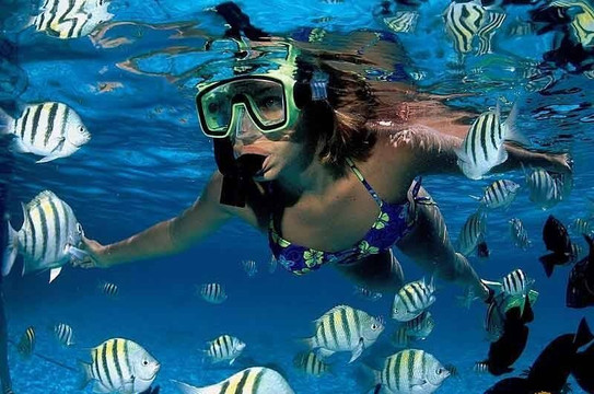 GoFurGO Mallorca-马洛卡帕尔马必去景点