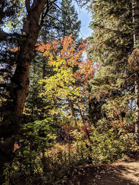 Stewart Falls-日舞必去景点