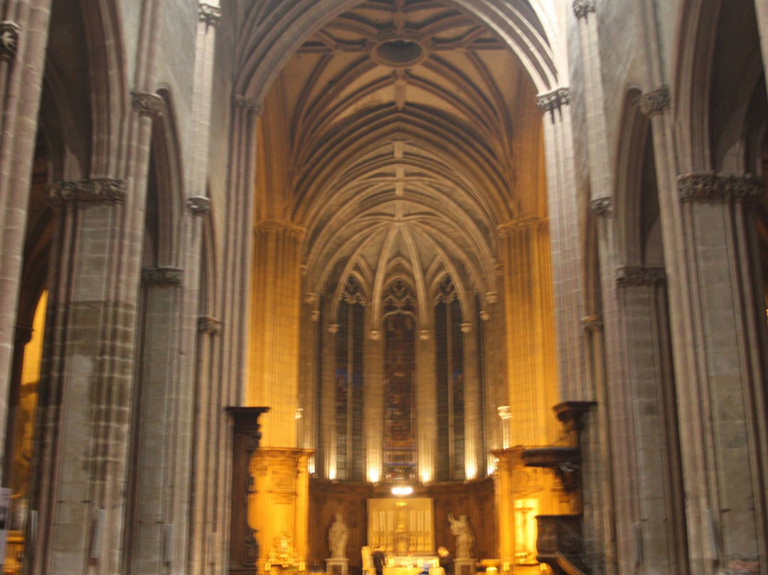 Église Saint-Michel de Dijon景点图片