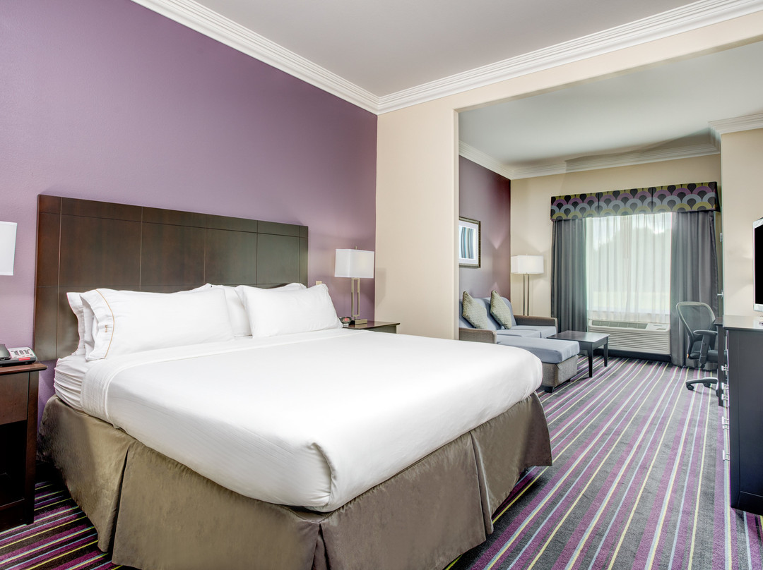 Holiday Inn Express & Suites Raceland - Highway 90 by IHG主图