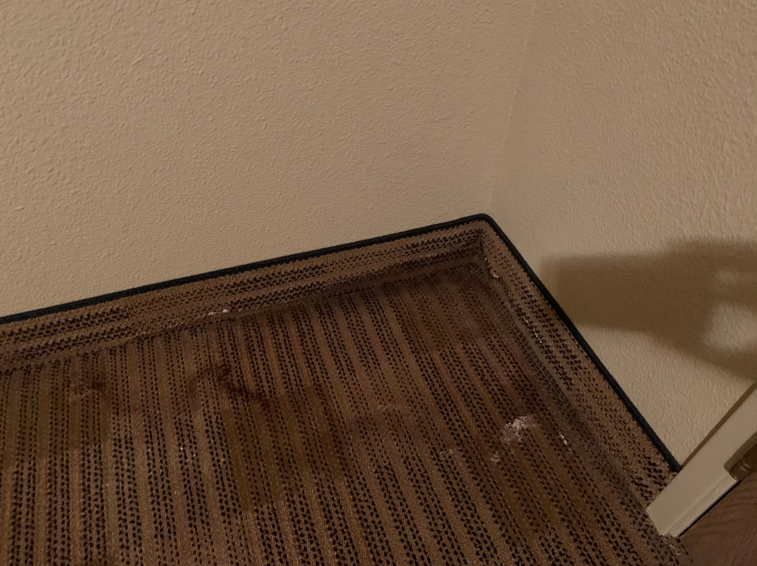 Extended Stay America - Juneau - Shell Simmons Drive主图