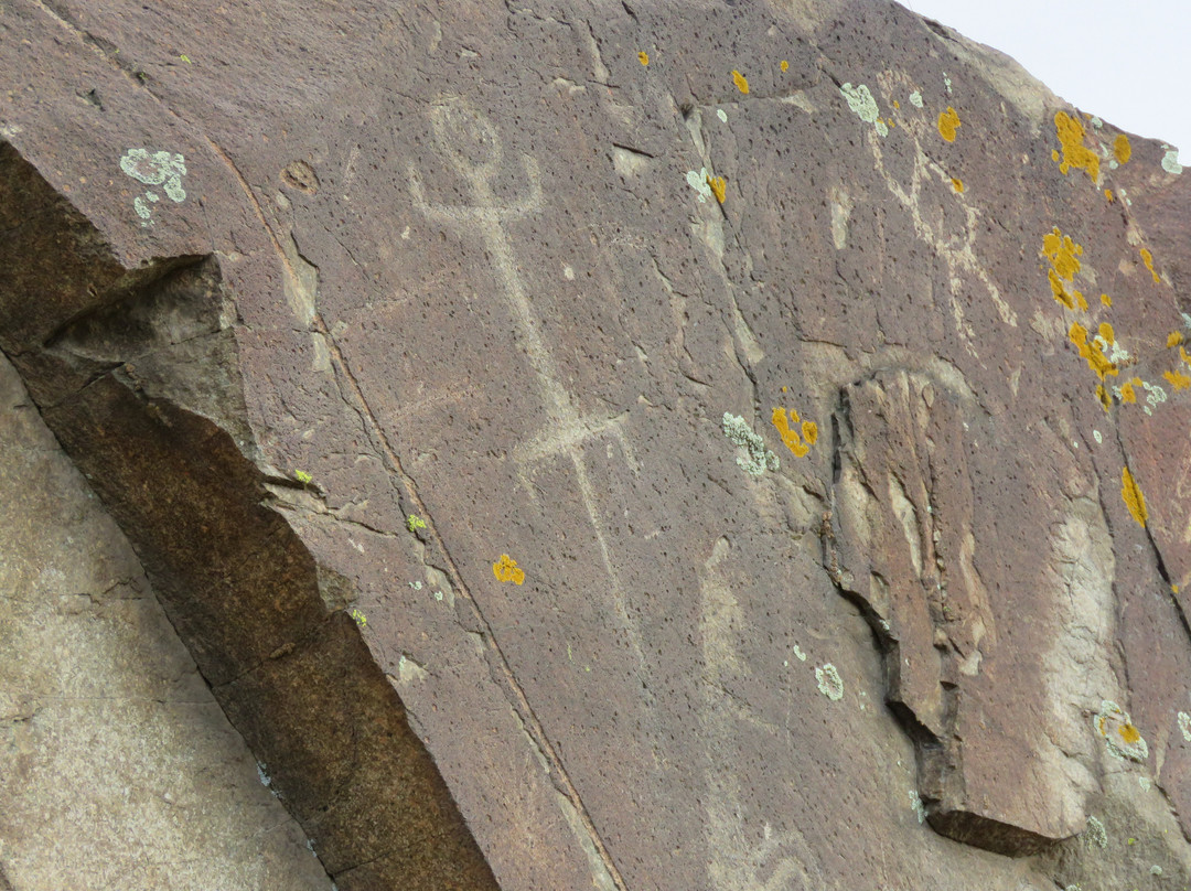 The Dragonfly Trail-Silver City必去景点