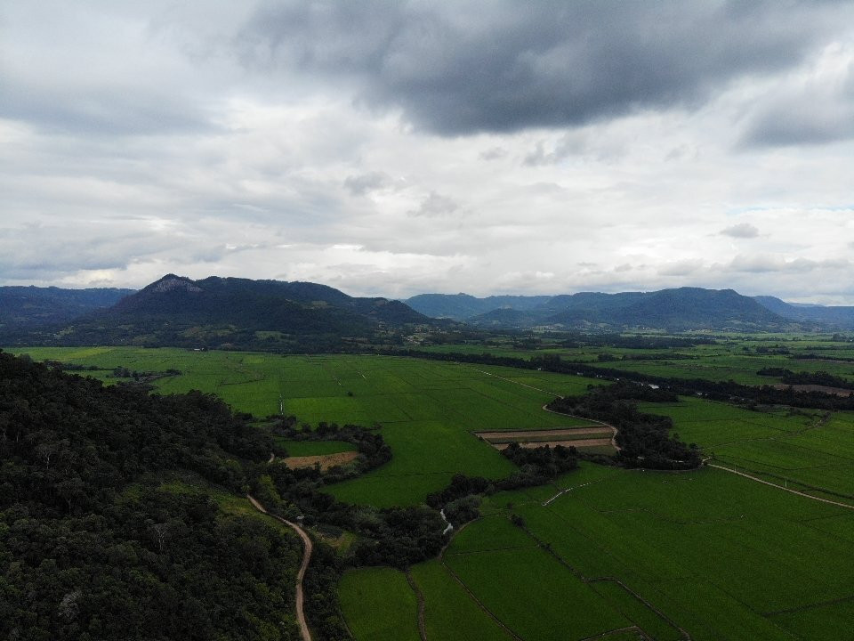 Lavouras De Arroz景点图片