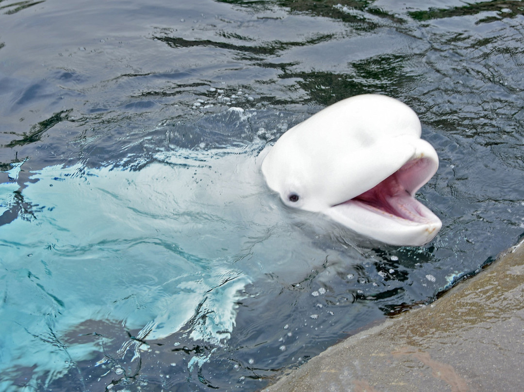 Holiday Inn Express Mystic - Groton Area by IHG主图