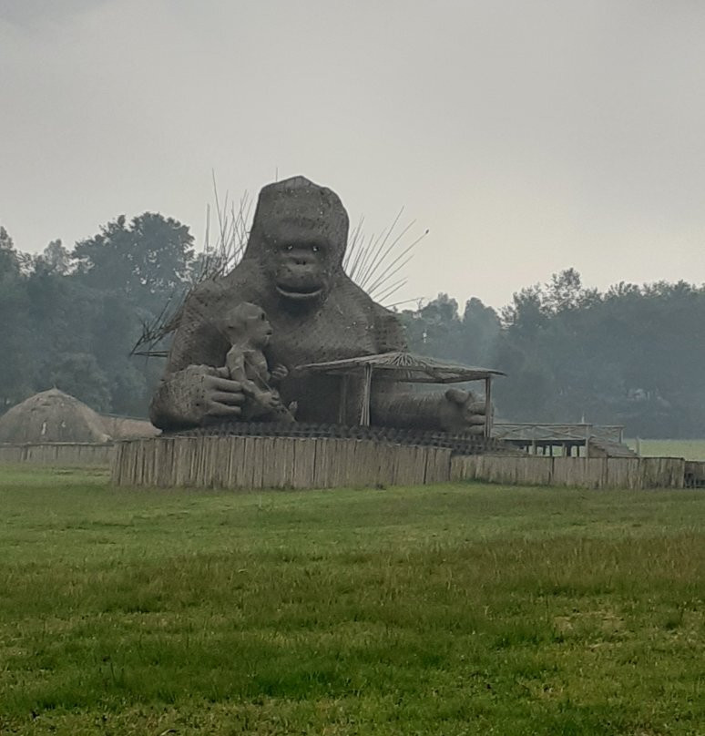 Kinigi Guesthouse主图