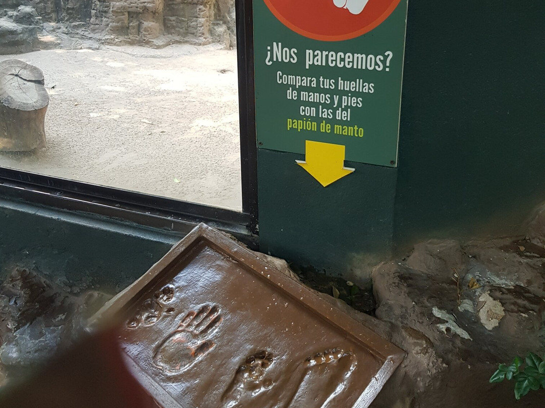 Zoológico De Barranquilla-Barranquilla必去景点