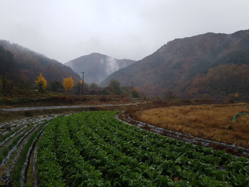 Sudo Valley