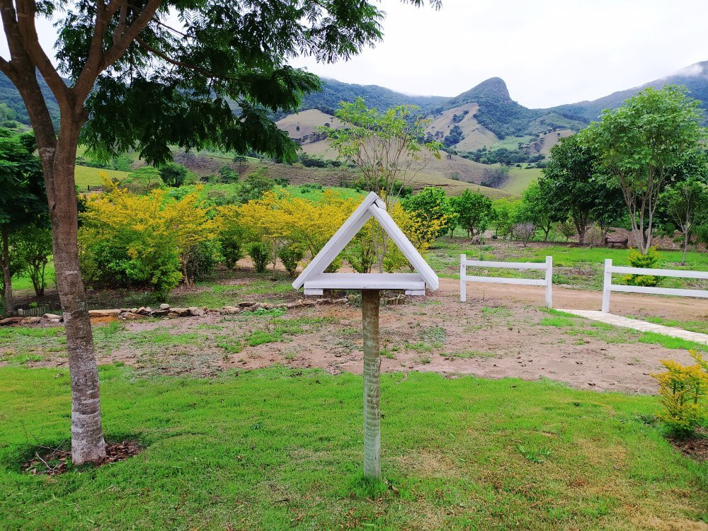 Quinta Do Papagaio主图