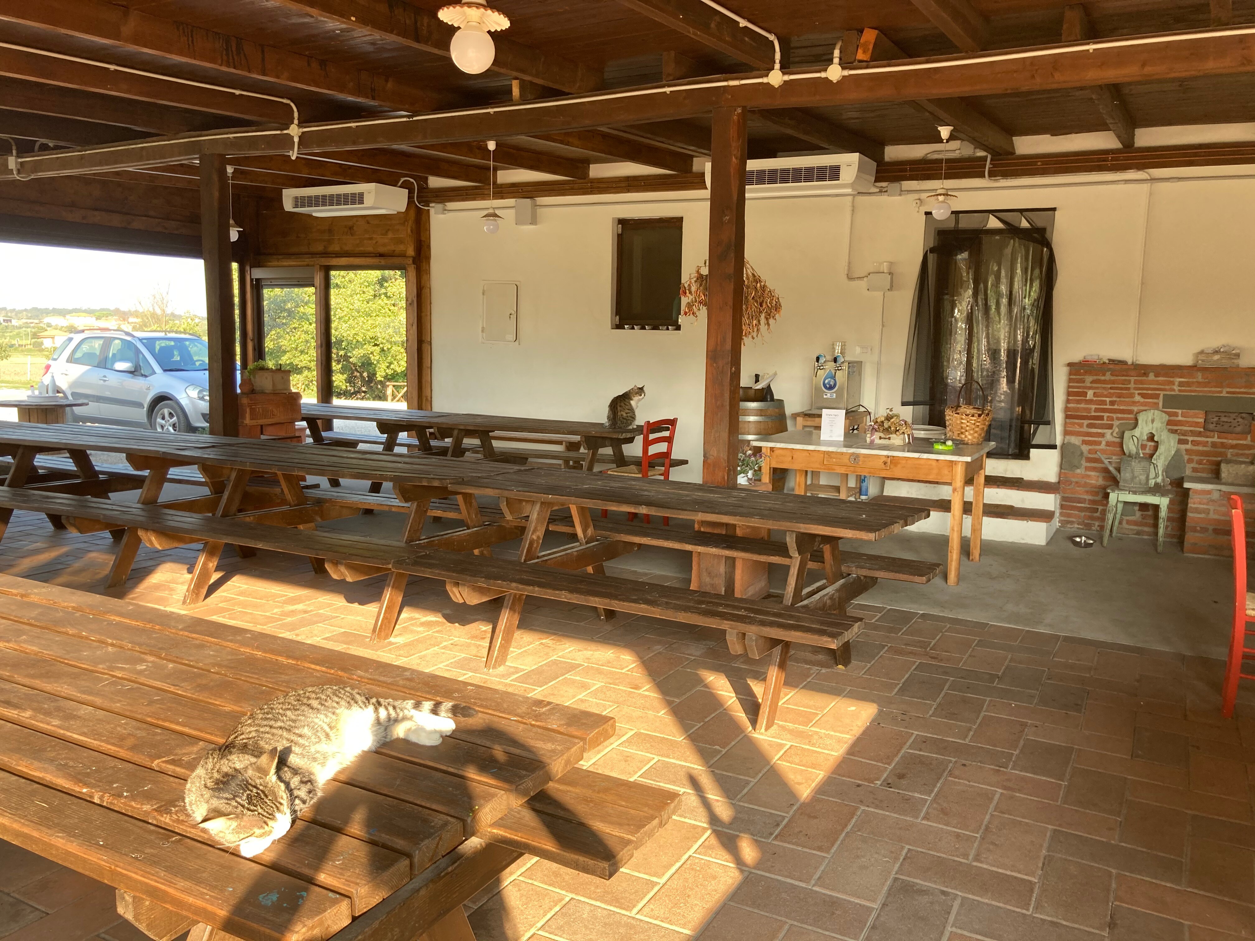贝卡内农场酒店-餐饮