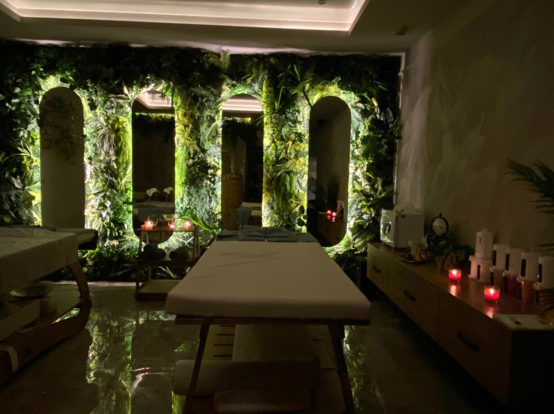 GREEN HOUSE Detox & SPA Hotel主图