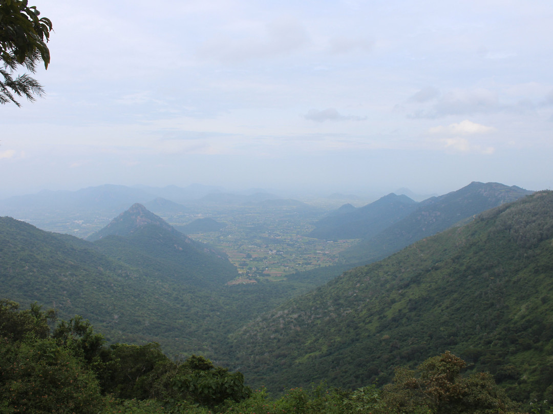 32-km Loop Road景点图片