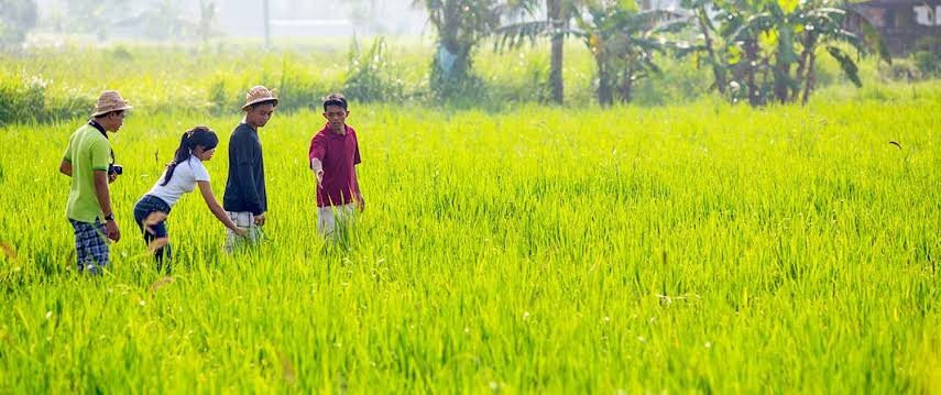 Jungle Boy-Tetebatu必去景点