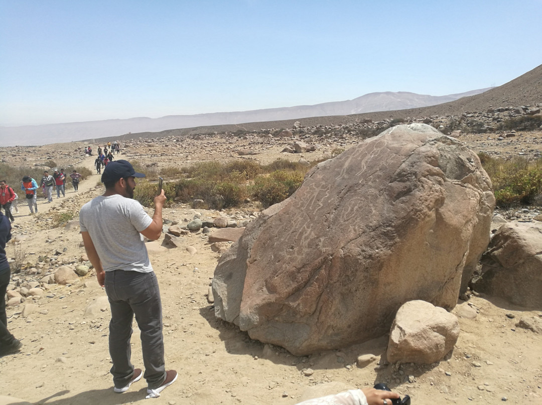 Petroglifos de Miculla-塔克纳必去景点