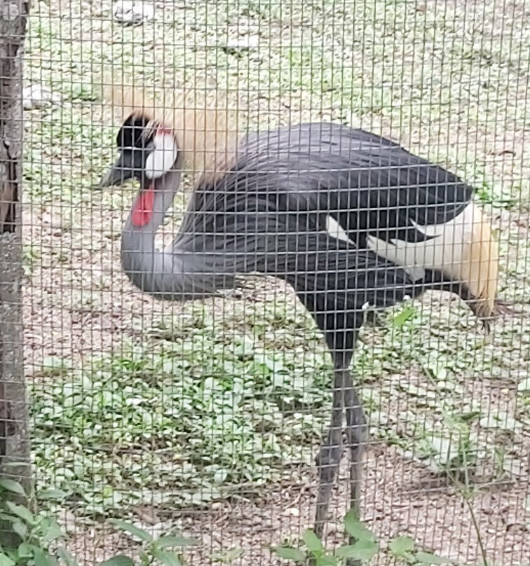 National Zoological Park-圣多明哥必去景点
