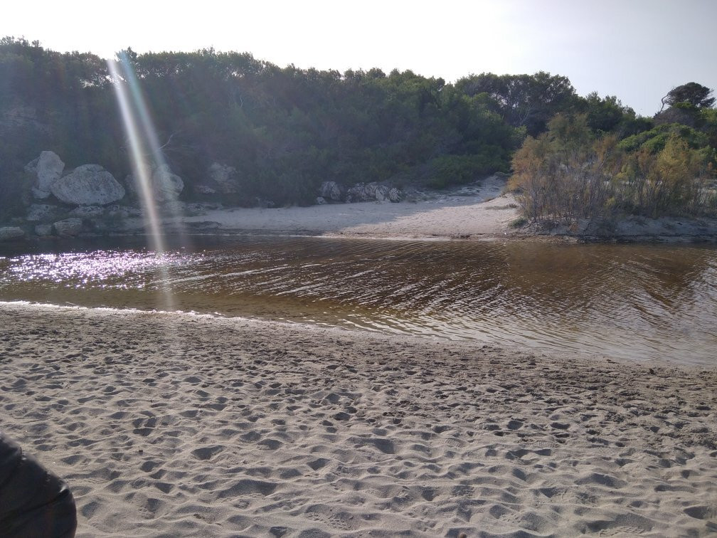 Playa de Son Baulo景点图片