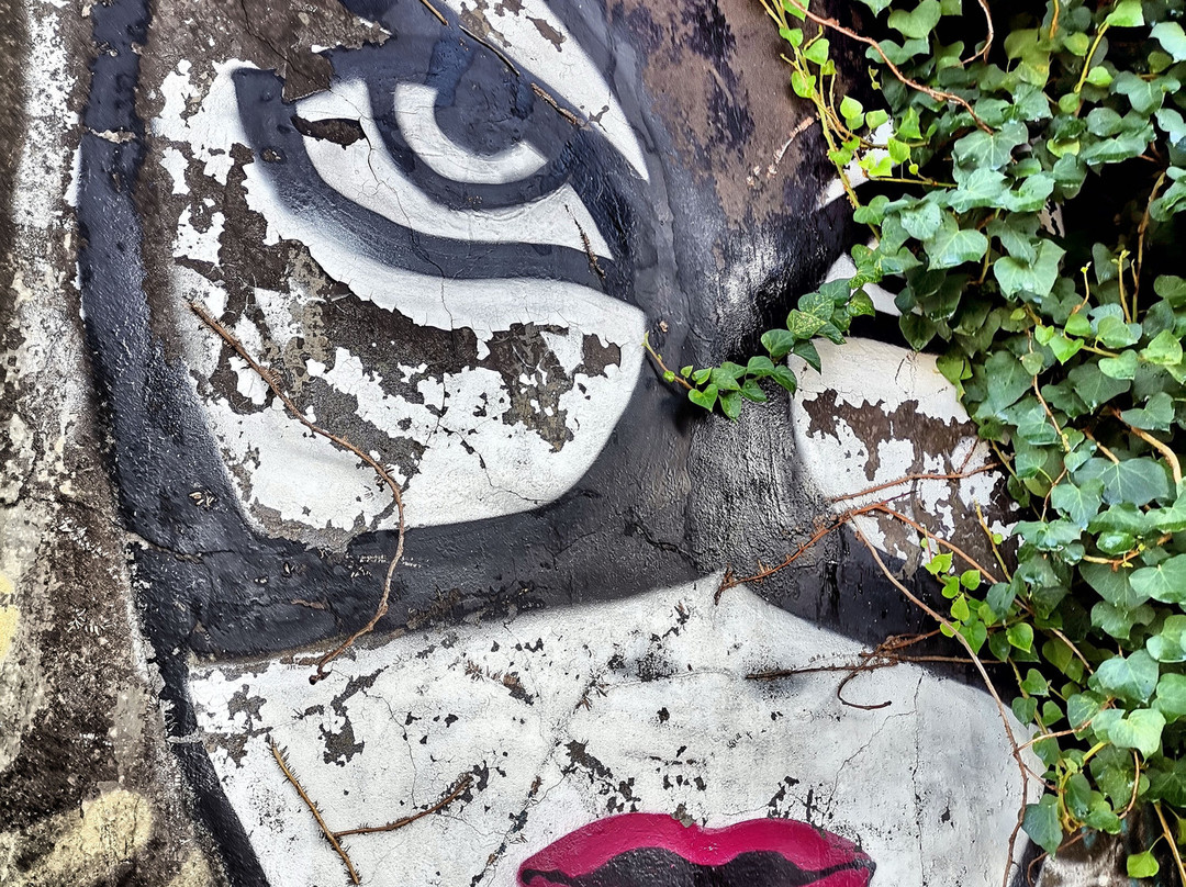 Arte Urbana景点图片