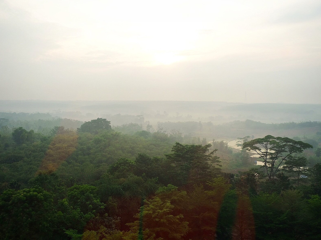 Harper Purwakarta主图