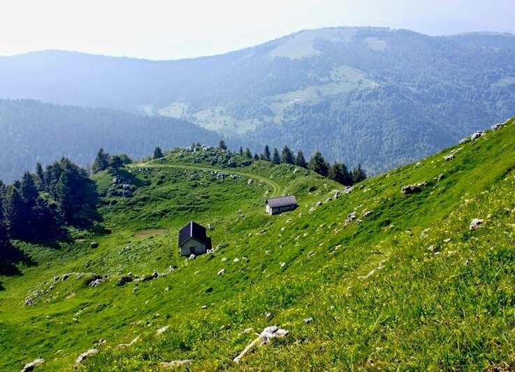 Alta Via delle Dolomiti n. 8景点图片