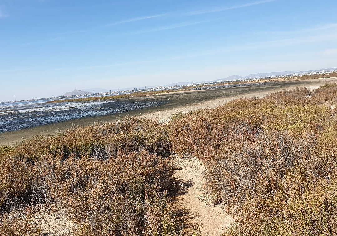 Paraje de Las Salinas-San Pedro del Pinatar必去景点