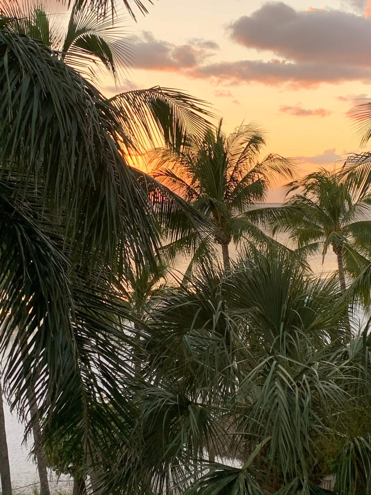 Best Western Fort Myers Waterfront-酒店景观