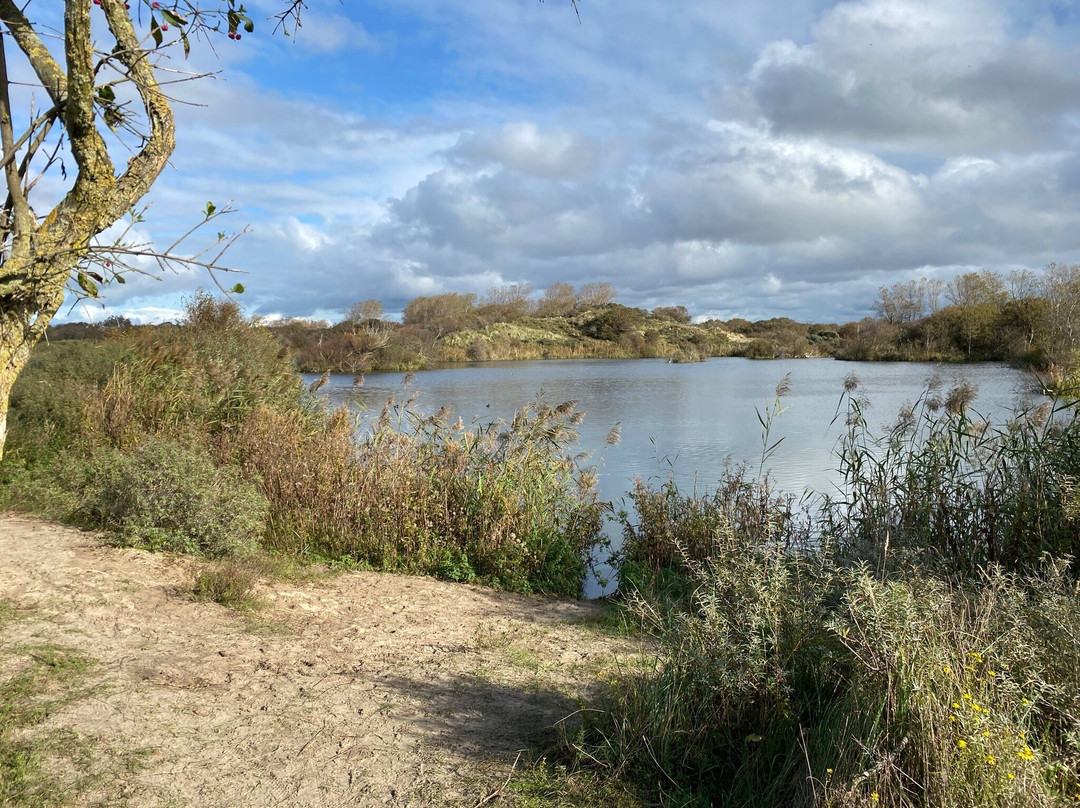 Duinreservaat Meijendel-Kievietsduin-Wassenaar必去景点