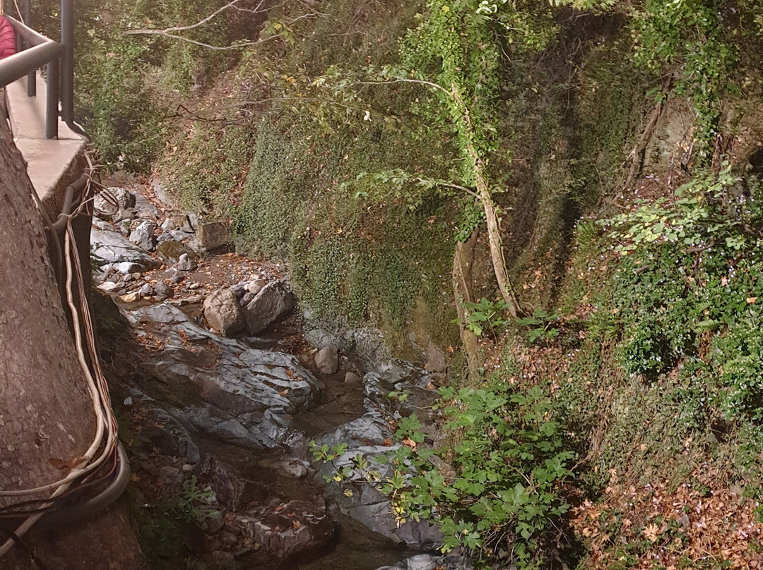 Forest Steni Evia-Steni Dirfyos必去景点