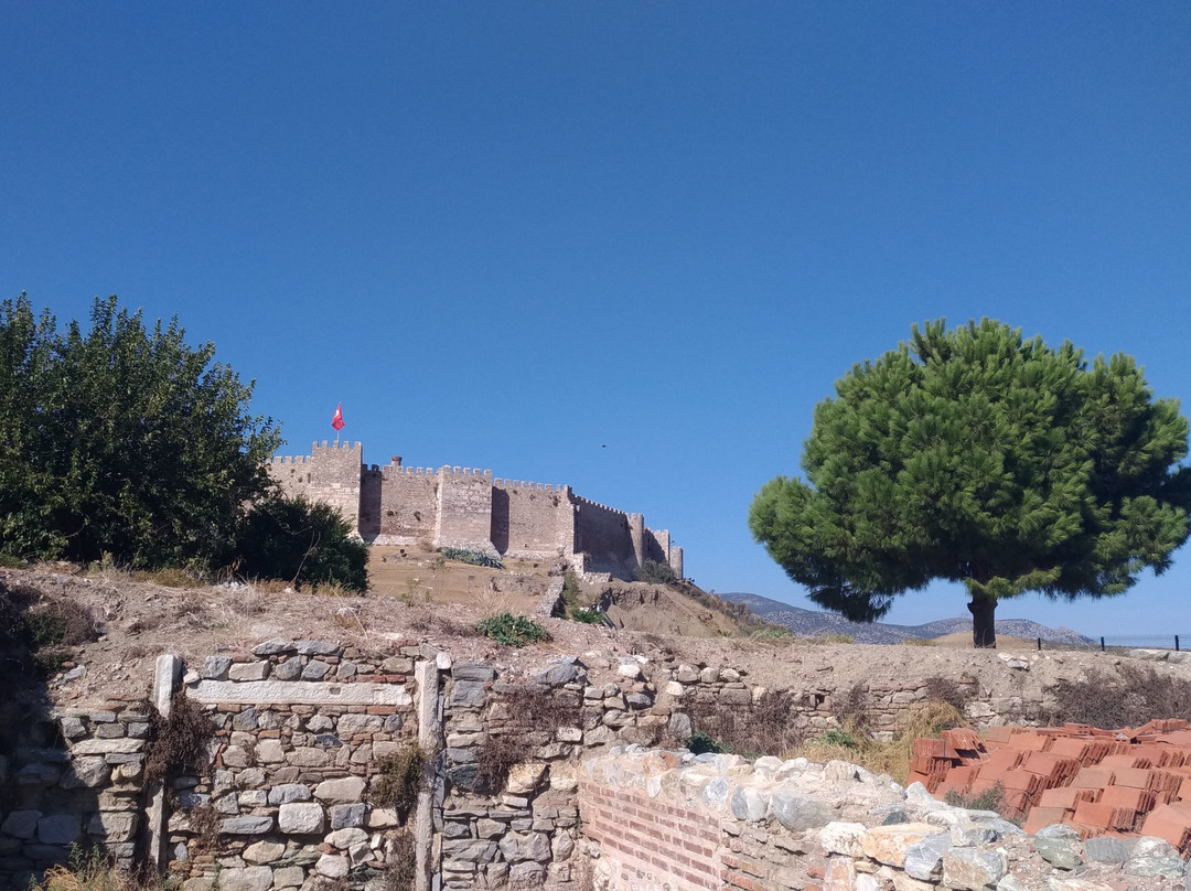 Ayasoluk Castle景点图片