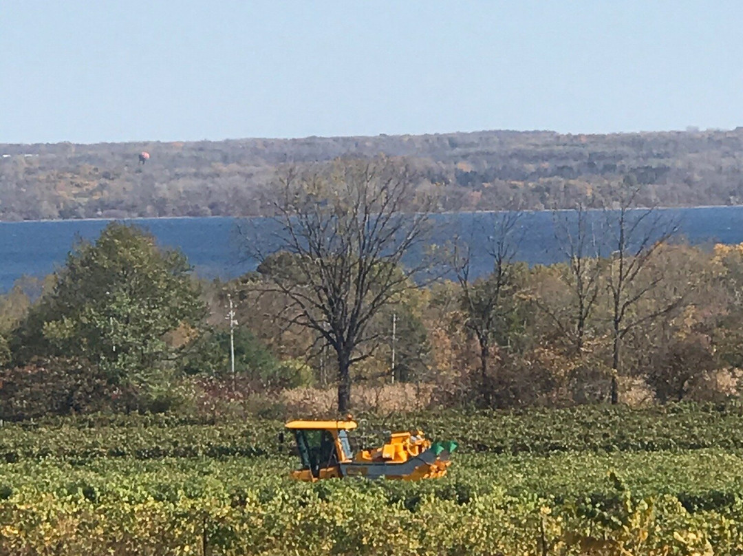 Anthony Road Wine Company-Penn Yan必去景点