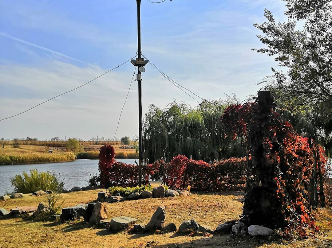 Lomovskoi Natural and Landscape Park-Muzhichye必去景点