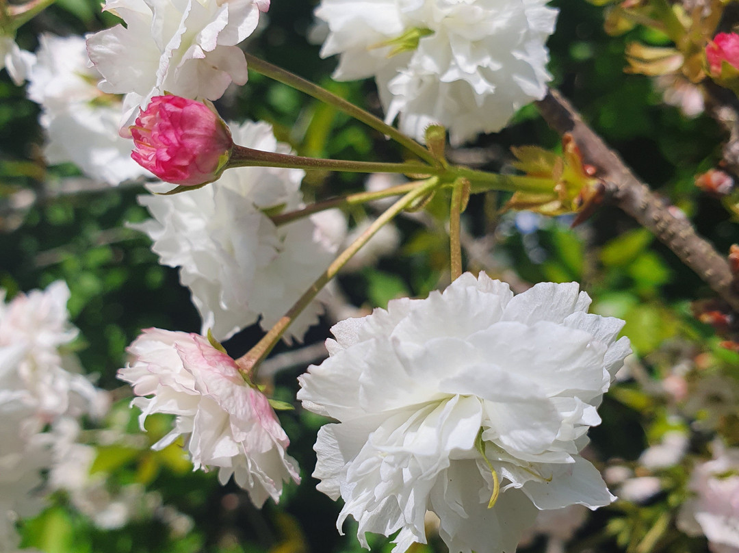 Haras Eclia-Cunha必去景点