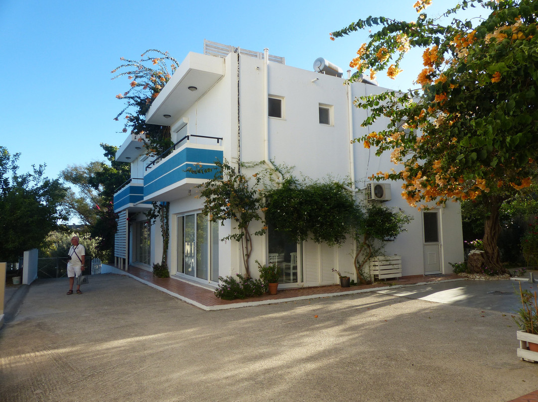 Blugreen Stegna主图