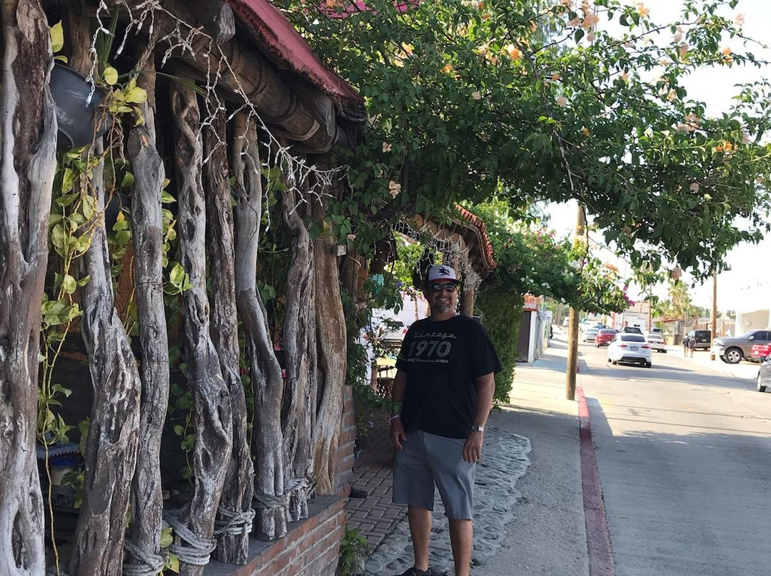 The Cape Transfers-卡波圣卢卡斯必去景点